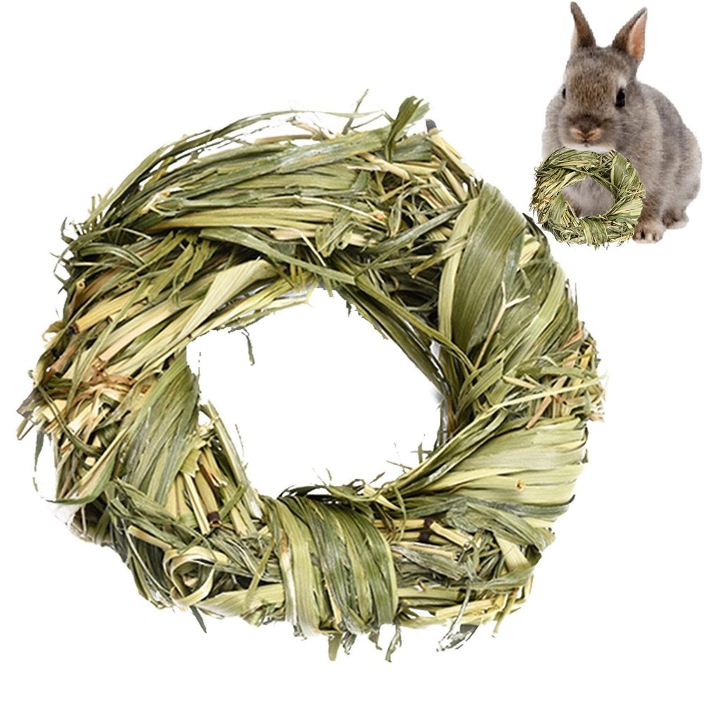 Facynde Chew Toys for Guinea Pigs and Small Pets