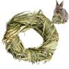 Facynde Chew Toys for Guinea Pigs and Small Pets view 1