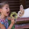 Facynde Chew Toys for Guinea Pigs and Small Pets view 3