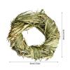 Facynde Chew Toys for Guinea Pigs and Small Pets view 4