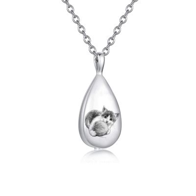 DOTUIARG Stainless Steel Pet Memorial Pendant