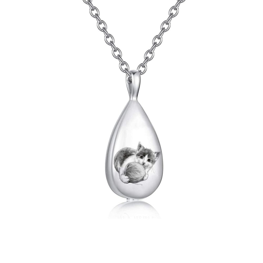DOTUIARG Stainless Steel Pet Memorial Pendant