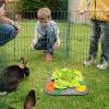 Youding Feeding Mat for Rabbits, 30 x 29 cm, Rabbit Toy for view 2