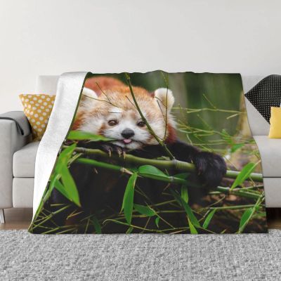 Little Red Panda Ultra-Soft Micro-Fleece Blanket, 203 x 152 cm, for Bed, Sofa, Couch, Travel, and Camping, Plush, Soft, Cozy, Machine-Washable