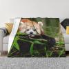 Little Red Panda Ultra-Soft Micro-Fleece Blanket, 203 x 152 cm, for Bed, Sofa, Couch, Travel, and Camping, Plush, Soft, Cozy, Machine-Washable view 1