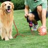Pet Waste Bags, Oxford Fabric, Portable, Biodegradable, Storage Bag for Outdoor Travel view 3
