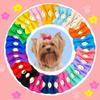Suxgumoe Dog Hair Bows, 36 Pieces, Multicolor A view 4
