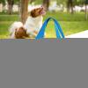 Dog Lift Harness, Adjustable Pet Support Sling for Rehabilitation (XS) view 4