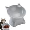 Elevated Cat Bowl view 1