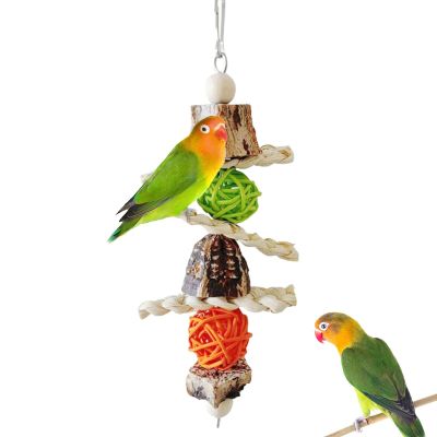 Bird Parrot Swing Chew Toy