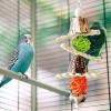 Bird Parrot Swing Chew Toy view 3