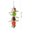 Bird Parrot Swing Chew Toy view 4