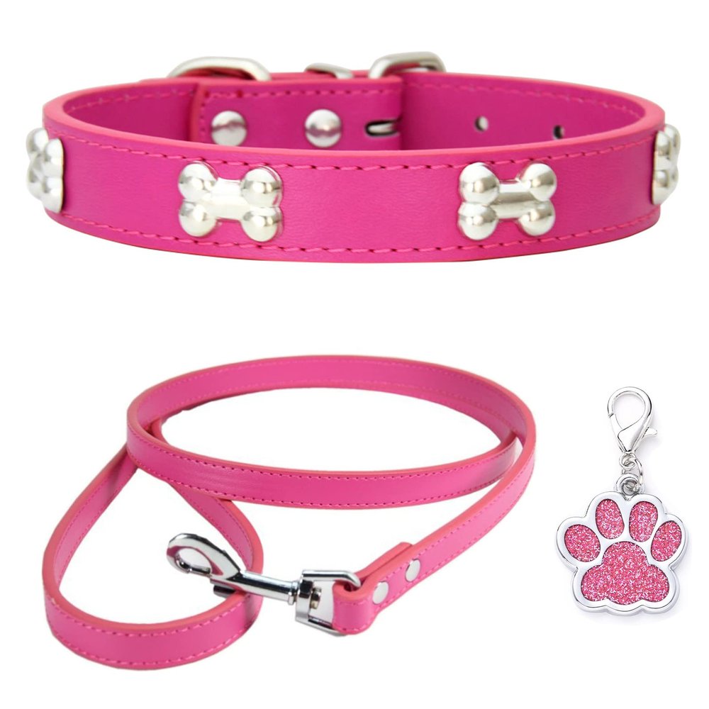 HALFSUMO Leather Dog Collar and Leash Combo Set, Adjustable, Rose, M