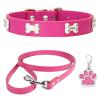 HALFSUMO Leather Dog Collar and Leash Combo Set, Adjustable, Rose, M view 1