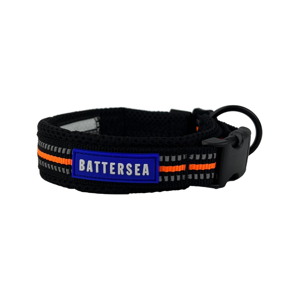 Battersea Reflective Dog Collar, Orange, L