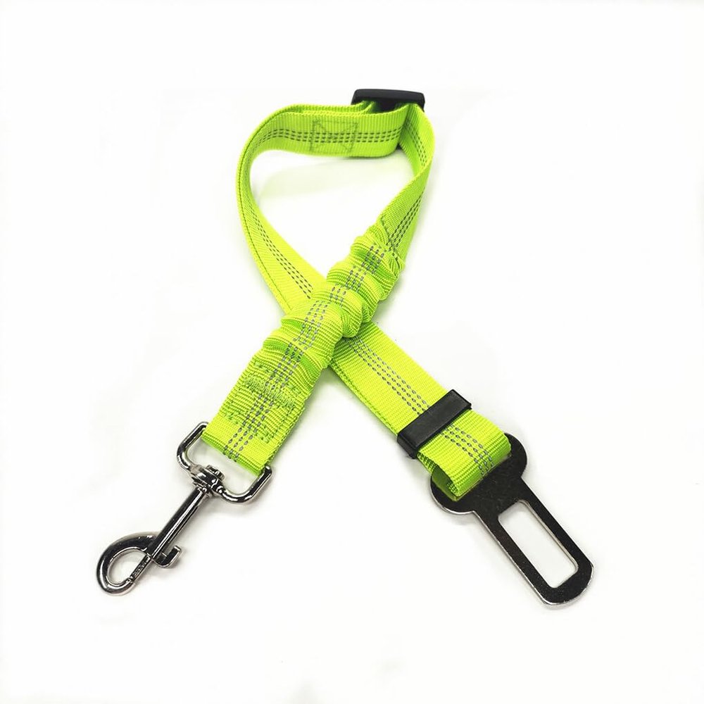 BEALIFE Dog Leash & Safety Harness