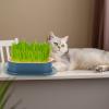 OSALADI Plastic Hydroponic Planter Box for Catnip, Pink view 2