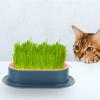 OSALADI Plastic Hydroponic Planter Box for Catnip, Pink view 3