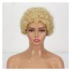 Short Curly Afro Pixie Wig for Black Women view 1
