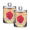 GAIREG Cotton Swab and Pad Holders, Plastic, Rose Design, 2-Piece Set view 1