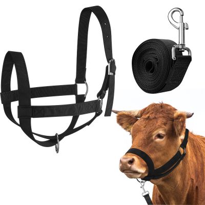 Hillban Adjustable Cow Halter with Lead Rope, Small, Black