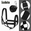 Hillban Adjustable Cow Halter with Lead Rope, Small, Black view 2