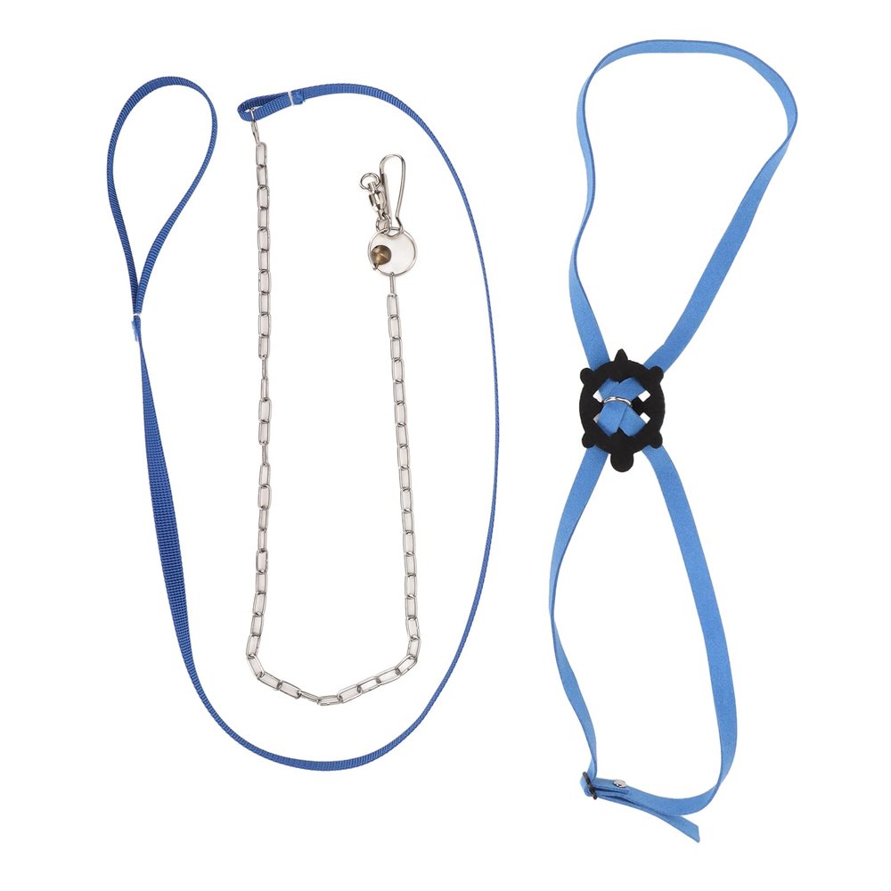 HERCHR Turtle Leash for Small Pets