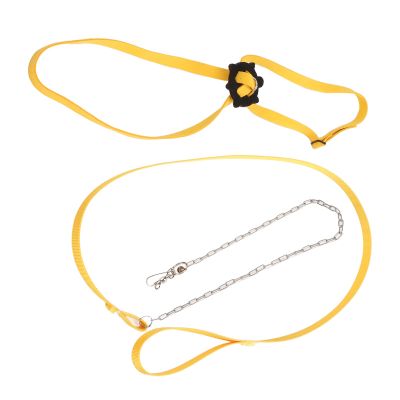 HERCHR Turtle Leash for Small Pets