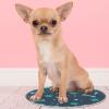 VBFOFBV Blue Cartoon Animal Paw and Bone Rug view 4