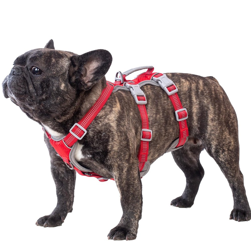 Huntboo Dog Harness for Medium Dogs, Safety Harness