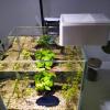 2-Pack Automatic Fish Feeder for Aquariums view 2