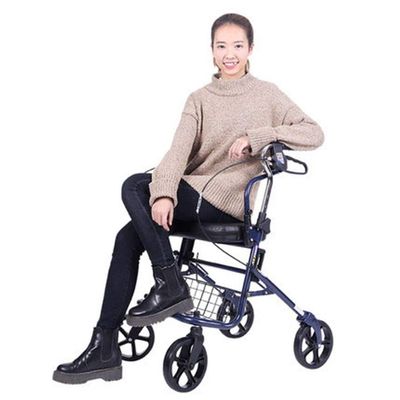 ANIFM Elderly Walker Shopping Cart, Foldable Portable Walker with Seat and Hand Brakes