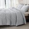 Andency Silver Gray Queen Comforter Set, Boho Gray, Soft and Warm, 3-Piece Tufted Chevron Comforter view 3
