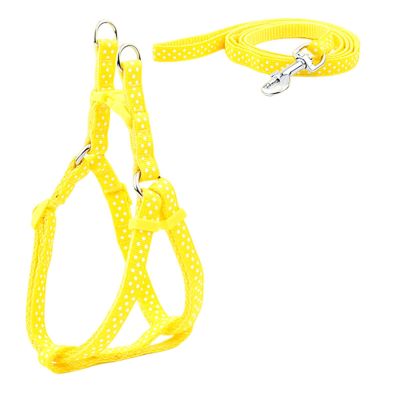 KOOBS Adjustable Vest Harness with Leash for Small Dogs and Cats, XS