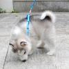 KOOBS Adjustable Vest Harness with Leash for Small Dogs and Cats, XS view 2