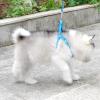 KOOBS Adjustable Vest Harness with Leash for Small Dogs and Cats, XS view 3