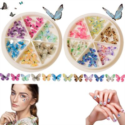 Vimlo Mini 3D Butterfly Nail Charms, Colorful Acrylic Nail Art Decorations for Women and Girls (Color: 2pcs e)