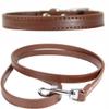 Vibrant Leather Dog Collar and Leash Set for Puppies and Dogs, S, M, L (XS 20 cm - 26 cm Neck), Dark Brown view 2