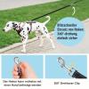 Aystkniet 30 m Long Line for Dogs with Detachable Elastic Cord view 4