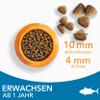 IAMS Dry Cat Food with Tuna - 10 kg view 2