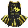 Petitebelle It's My 1st Bee-Day Dog Dress for Puppies, Black, Size L view 1