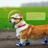 Dog Baseball Cap, Adjustable with Ear Holes view 4