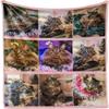 Personalized Photo & Text Sherpa Blanket view 1