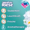 2x Weißer Riese Universal Trio-Caps Aromatherapy Floral Sensation (18 washes), with Lotus + 2x Weißer Riese Color Trio-Caps Aromatherapy Floral Sensation (18 washes), with Orchid view 3