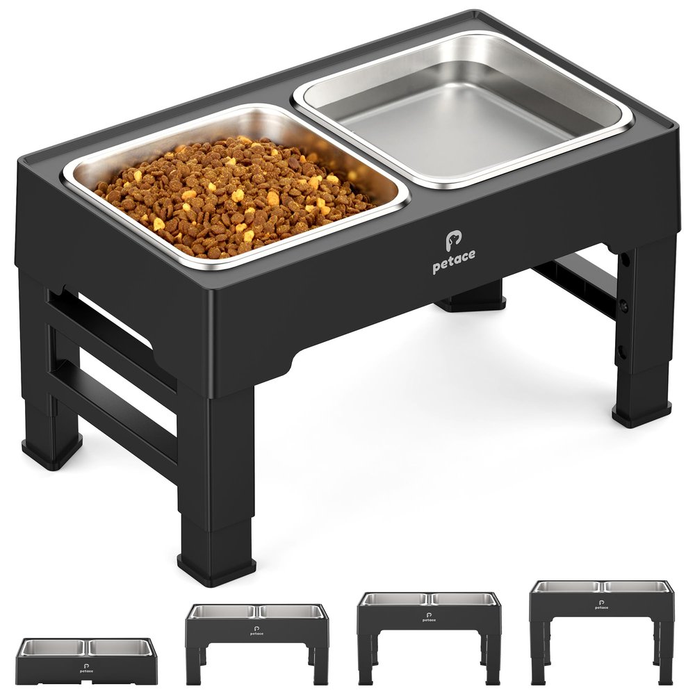 Elevated Dog Bowl, 4 Heights, 2 Stainless Steel Bowls, 1.6 L