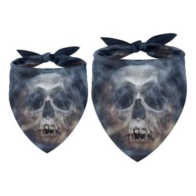 2-Pack Dog Bandanas with Skull Design