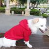 HuaLiSiJi Dog Hoodie for Small Dogs, Warm and Lightweight, Soft Texture, Black + Red, XL view 4