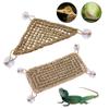 Reptile Hammock for Bearded Dragons, Terrarium Decor, 40 x 20 cm view 3