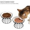 2-Pack Elevated Cat Food Bowls view 4