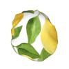Lemon Yellow Tree-Print Shower Cap for Women, Adjustable and Double-Layer Waterproof view 2